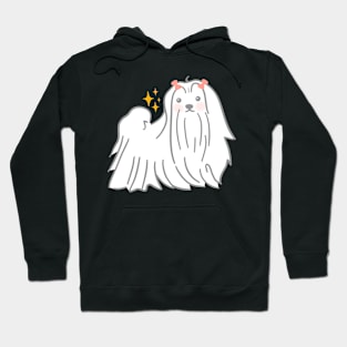 Maltese Dog Hoodie